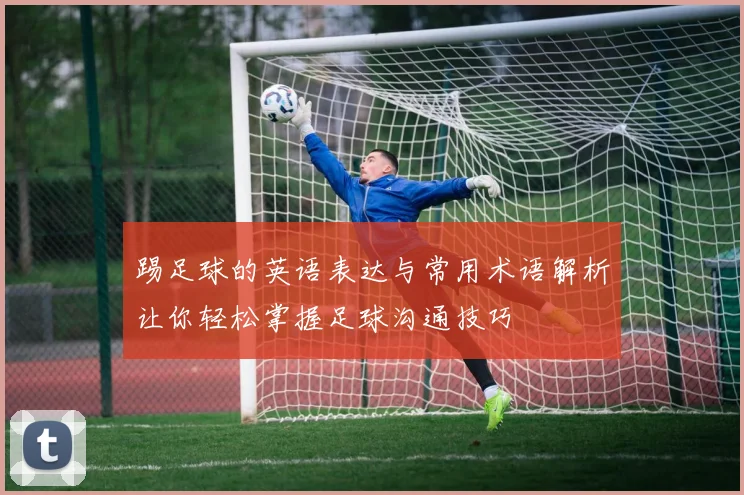 踢足球的英语表达与常用术语解析让你轻松掌握足球沟通技巧