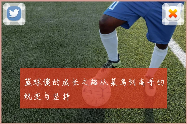 篮球傻的成长之路从菜鸟到高手的蜕变与坚持