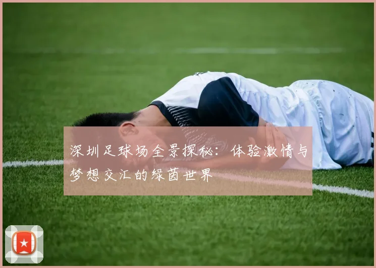 深圳足球场全景探秘：体验激情与梦想交汇的绿茵世界