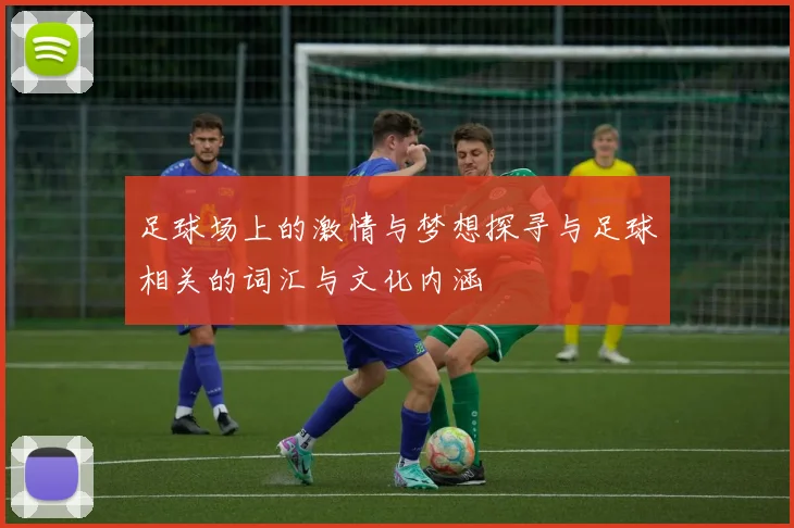 足球场上的激情与梦想探寻与足球相关的词汇与文化内涵