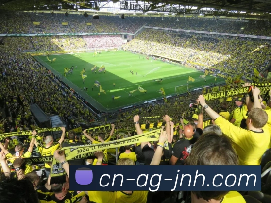 金年会APP 高清赛事图